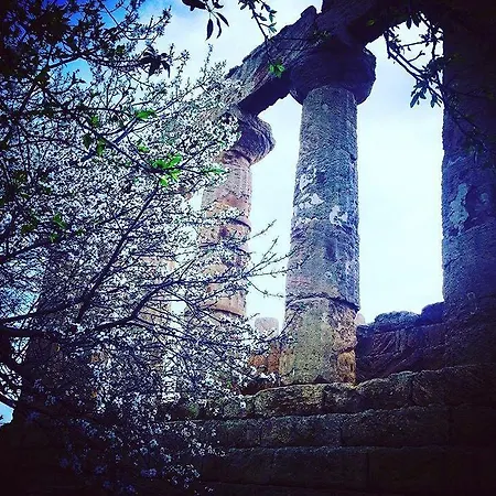 Alojamento de Acomodação e Pequeno-almoço Mielezenzero 3*