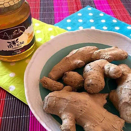 Mielezenzero Nocleg ze śniadaniem 3*