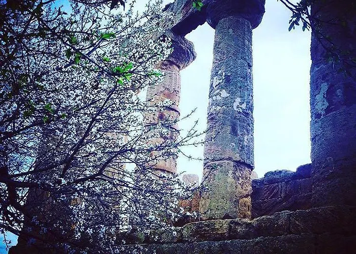 Oda ve Kahvaltı Mielezenzero 3*